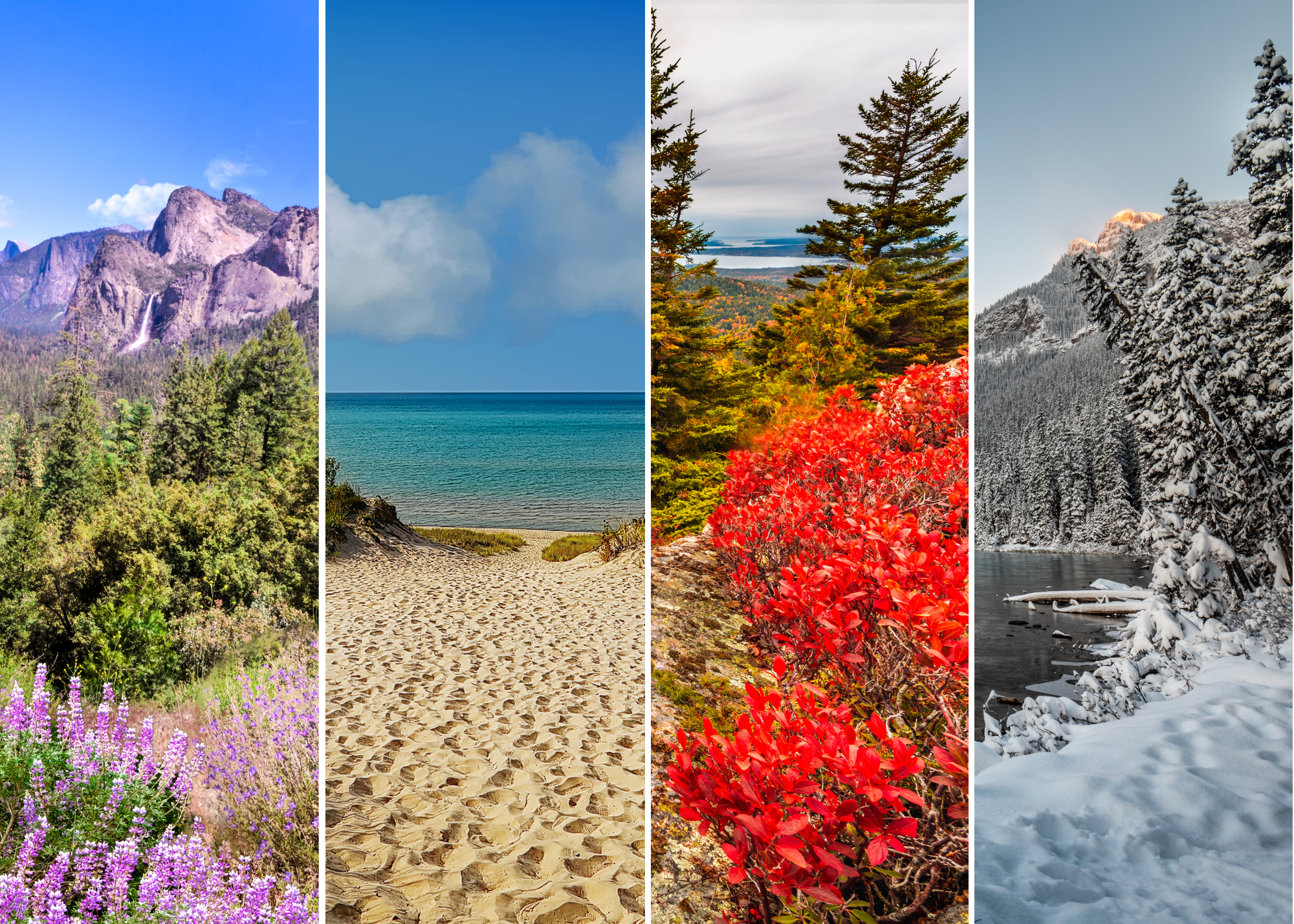 Nature in the four seasons of the year