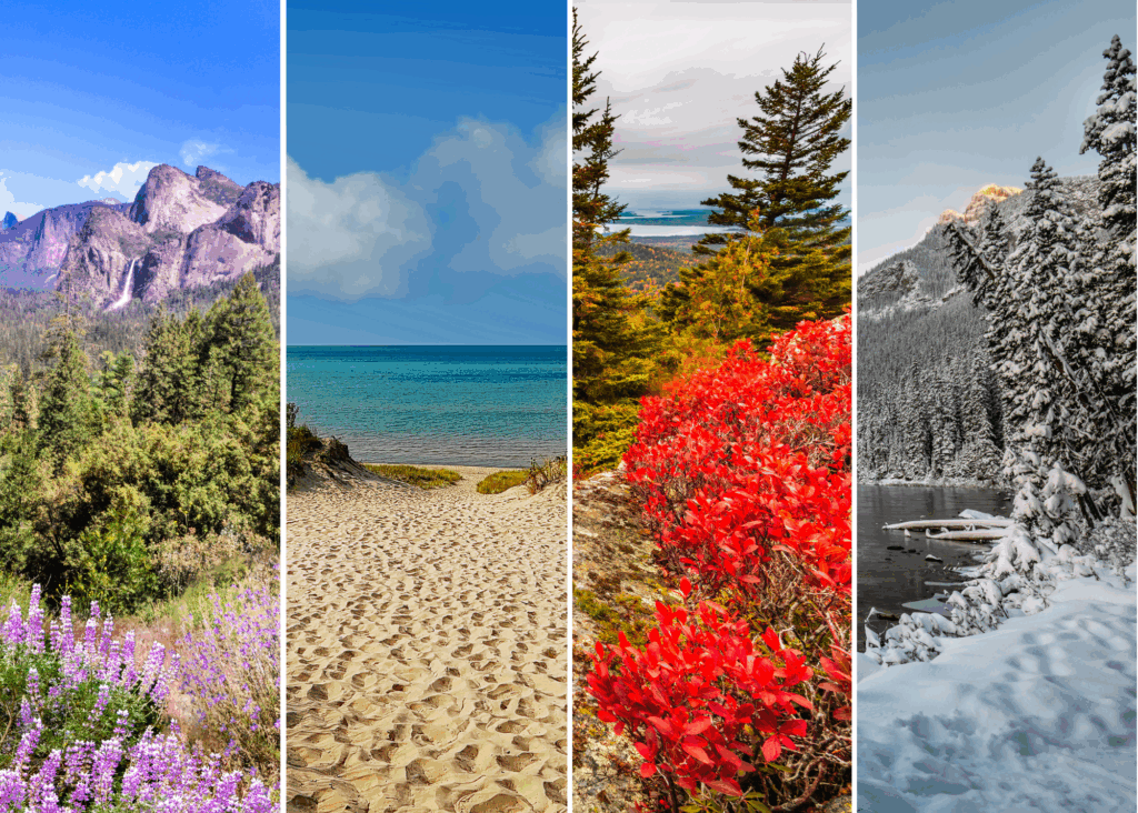 Spend a Year in National Parks